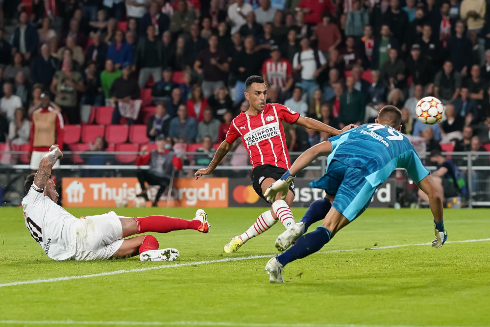 的领导地位 的领导地位