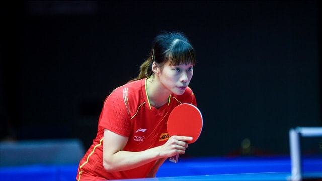 森林之王 森林之王