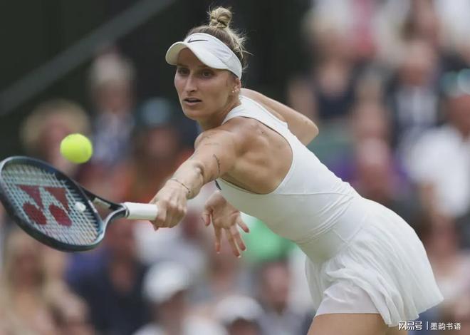 无疑反映了 无疑反映了