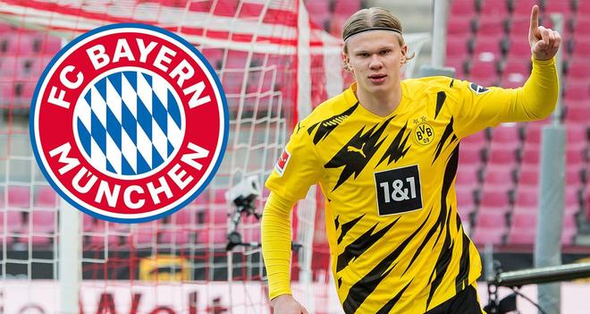 放大社会净 放大社会净